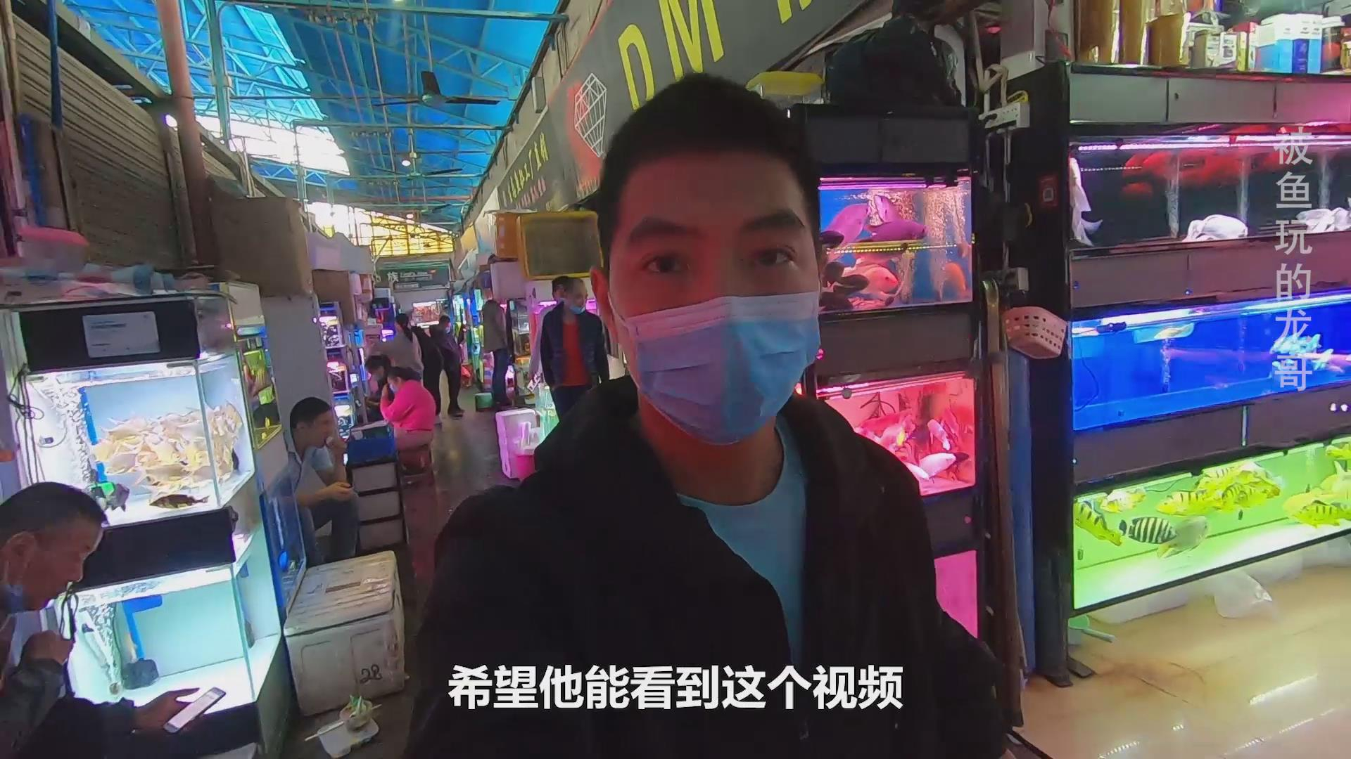 广州花地湾水族市场,帮网友找龙鱼,2600的红龙值得入手吗?